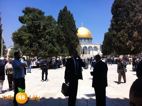 yaffa aqsa 0414 (42).JPG